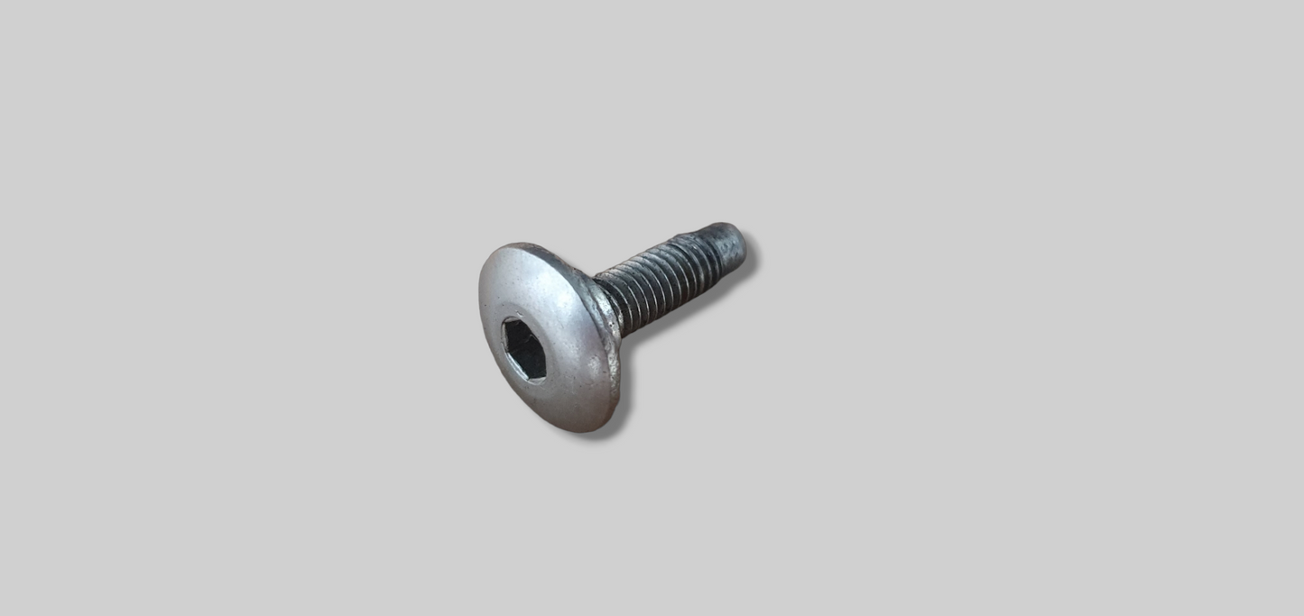 SCHROEF MET FLENS M5X12 AP8152302 Aprilia RSV Mille 98-03 / Tuono 02-05