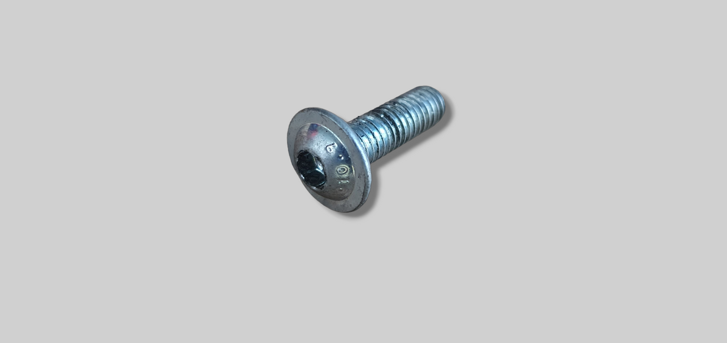 SCHROEF MET FLENS M6X16 AP8152246 Aprilia RSV Mille 98-03 / Tuono 02-05