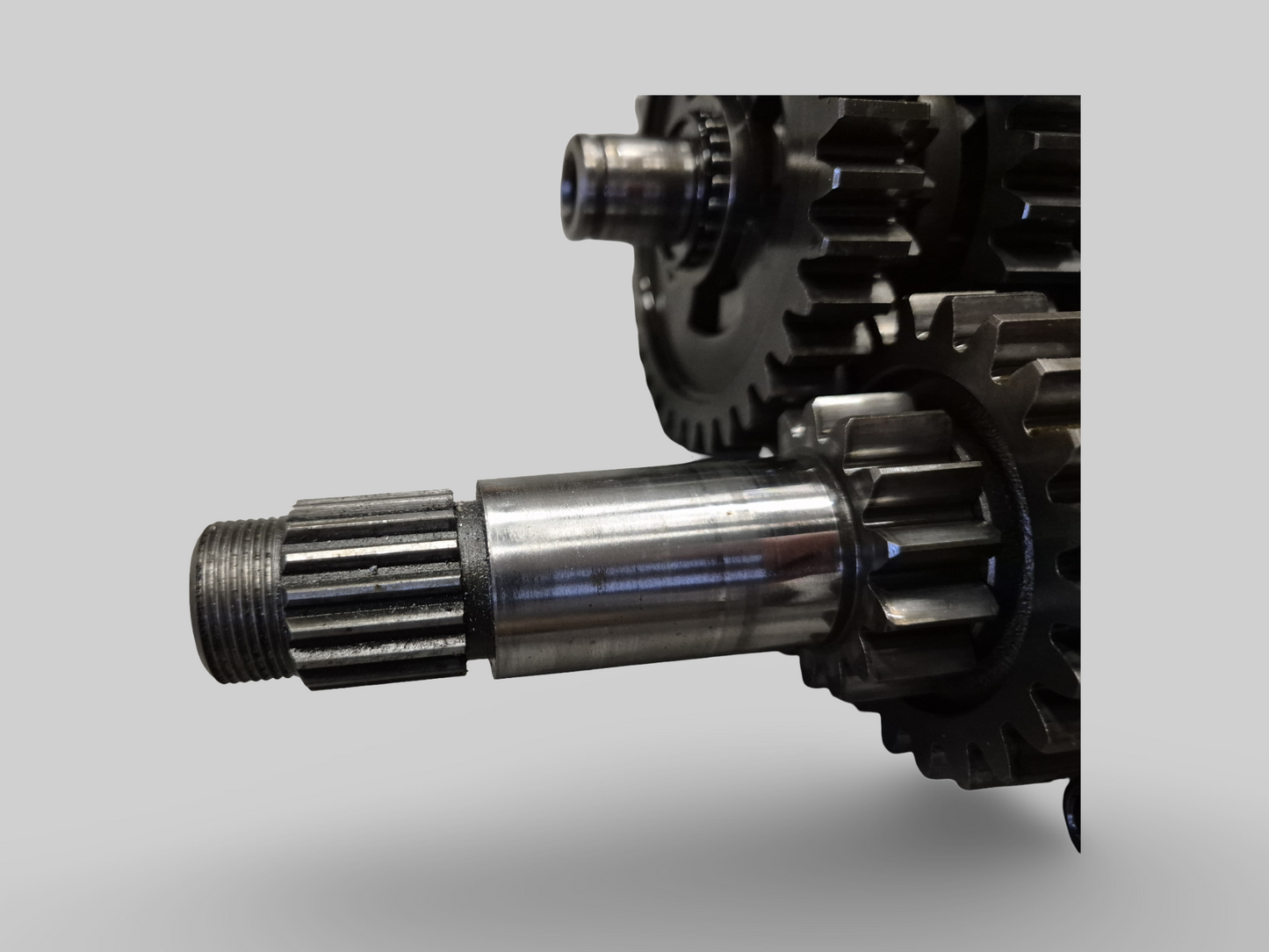 51MM GASKLEPHUIS AP0295696 Aprilia RSV Mille 98-03 / Tuono 02-05 