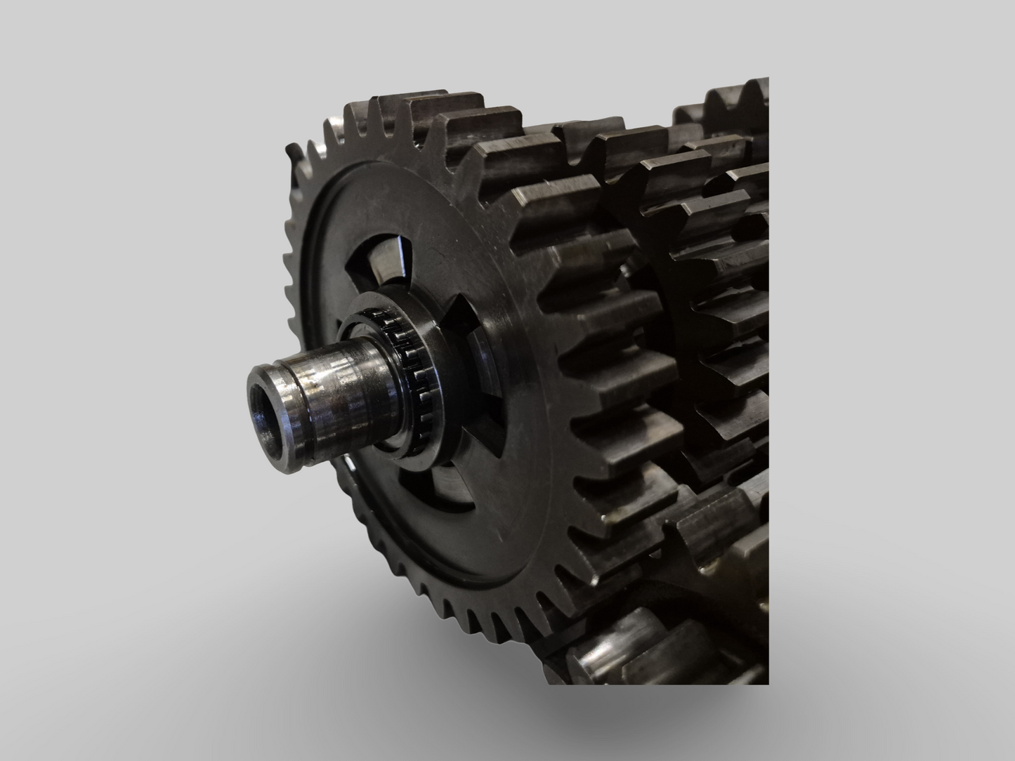 51MM GASKLEPHUIS AP0295696 Aprilia RSV Mille 98-03 / Tuono 02-05 