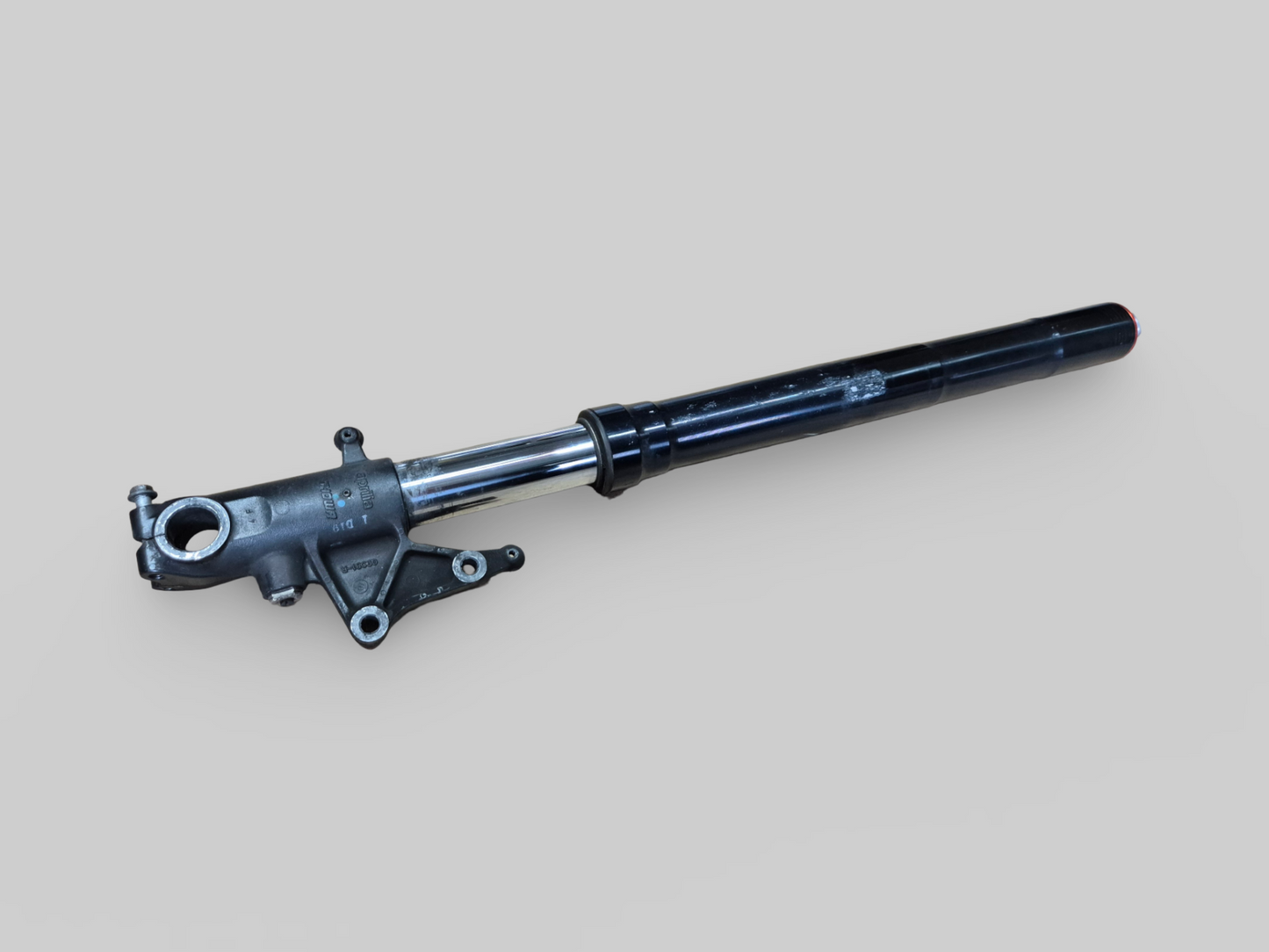 RECHTERZIJDE SHOWA AXIALE VORKPOOT AP8123637 Aprilia RSV Mille 98-03 / Tuono 02-05