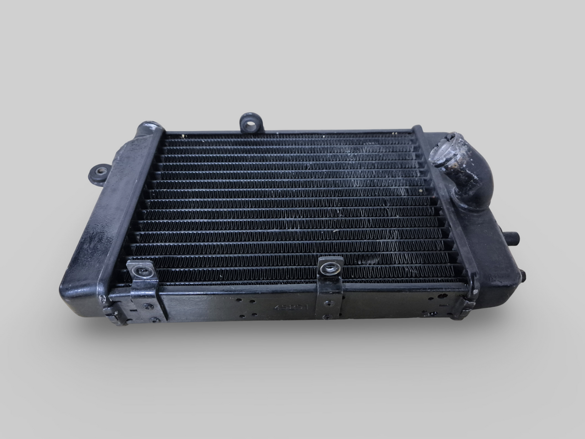 LEFT-HAND RADIATOR BLACK AP8102951 Aprilia RSV Mille 98-03 / Tuono 02-05