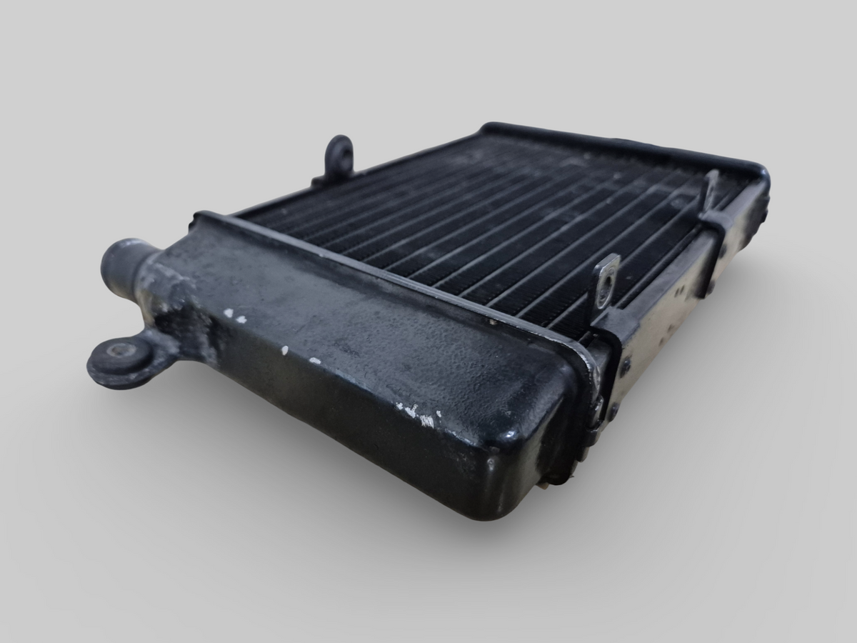 LEFT-HAND RADIATOR BLACK AP8102951 Aprilia RSV Mille 98-03 / Tuono 02-05
