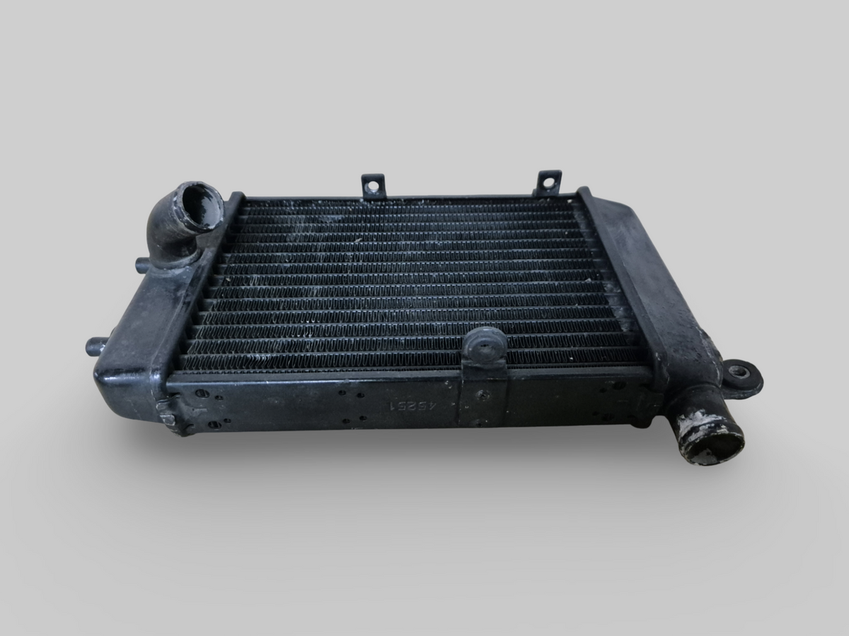 LEFT-HAND RADIATOR BLACK AP8102951 Aprilia RSV Mille 98-03 / Tuono 02-05