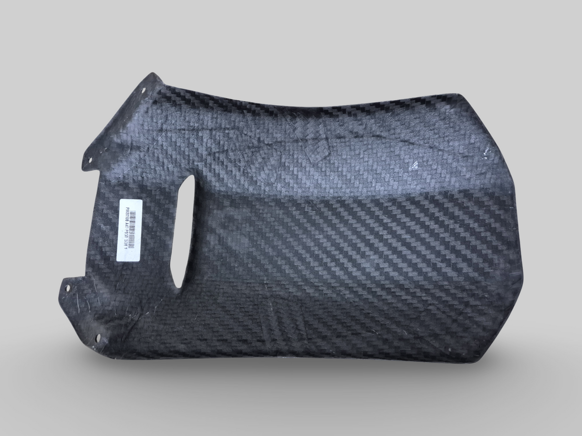 REAR CARBON MUDGUARD / HUGGER Aprilia RSV Mille 98-03 / Tuono 02-05