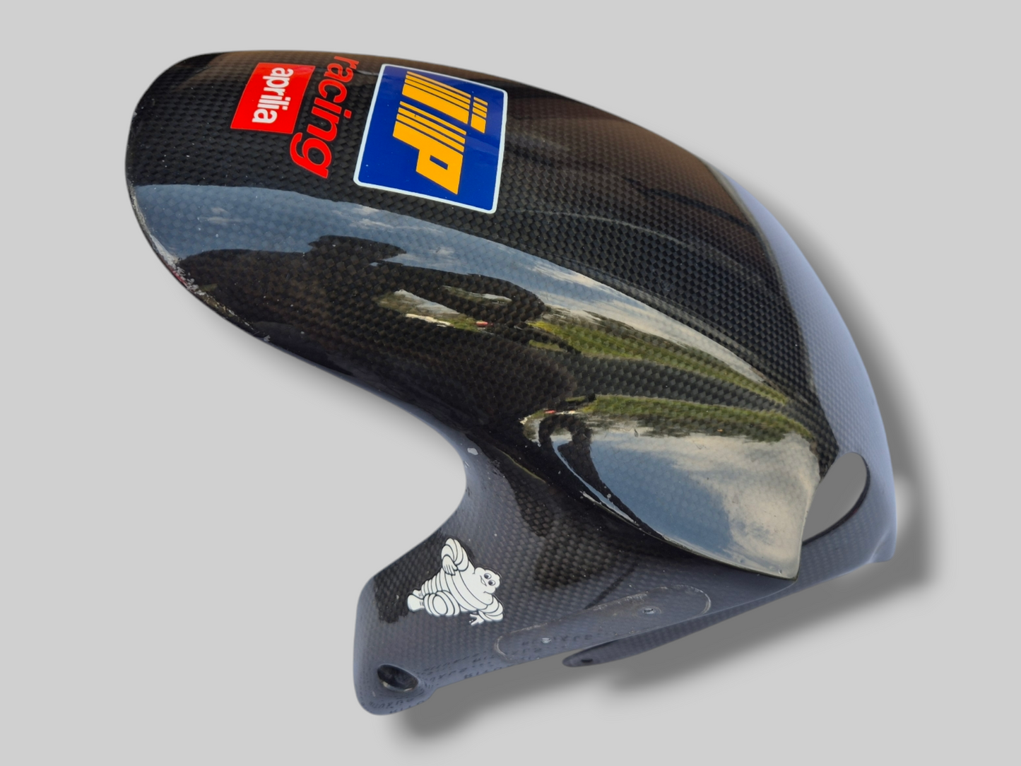 CARBON FIBER APRILIA RACING FRONT FENDER MUDGUARD AP8156070 Aprilia RSV Tuono 'Racing' 02-05