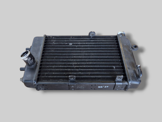 RECHTER RADIATOR ZWART AP8102952 Aprilia RSV Mille 98-03 / Tuono 02-05