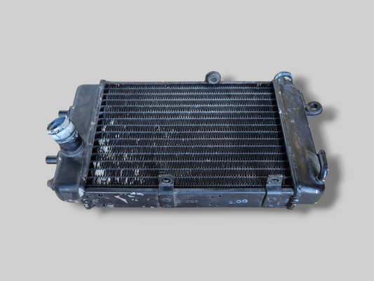 RECHTER RADIATOR ZWART AP8102952 Aprilia RSV Mille 98-03 / Tuono 02-05