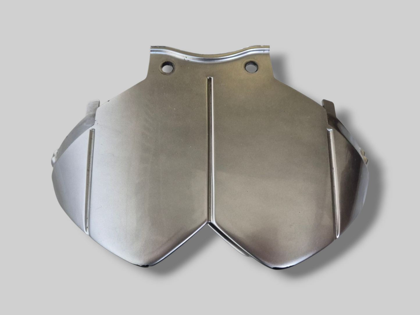 ACHTERLICHTKAP ZILVER AP8138592 Aprilia RSV Mille 1998-2000 